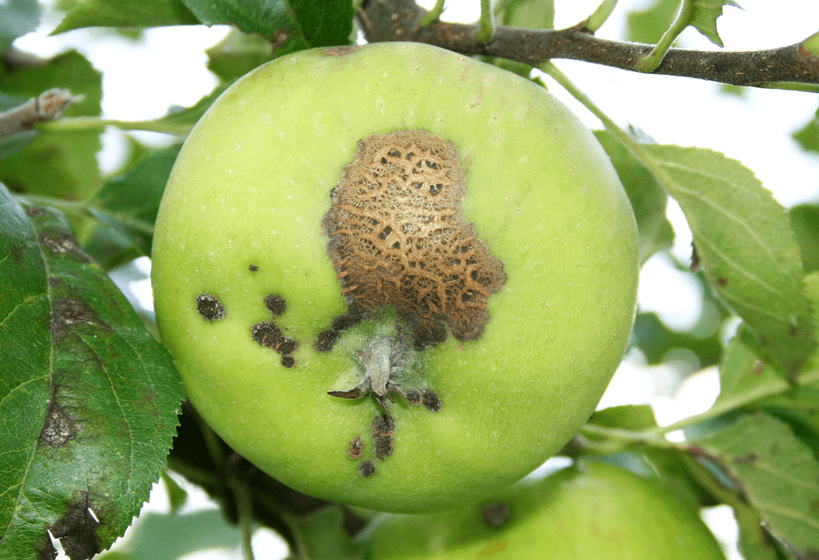 schurft biologisch bestrijden